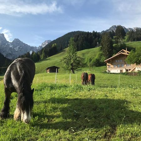 Bed and Breakfast Au Pre Des Chevaux Chateau-d'Oex Zewnętrze zdjęcie