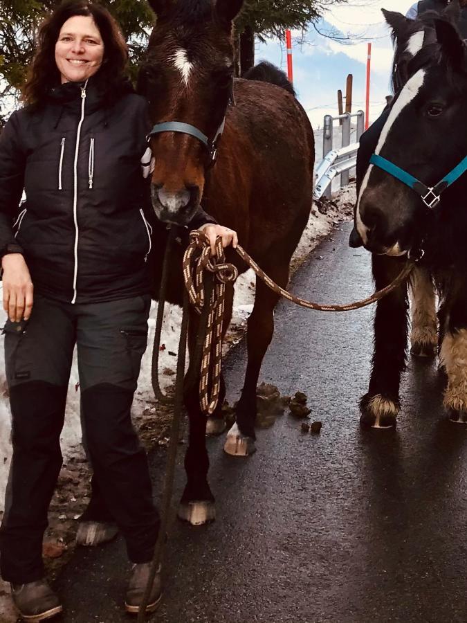 Bed and Breakfast Au Pre Des Chevaux Chateau-d'Oex Zewnętrze zdjęcie