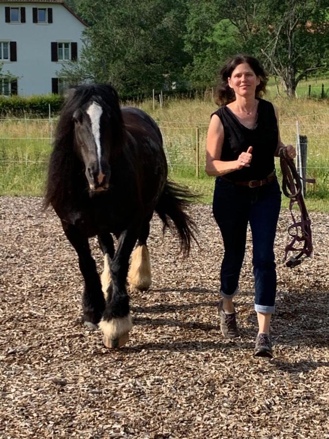 Bed and Breakfast Au Pre Des Chevaux Chateau-d'Oex Zewnętrze zdjęcie
