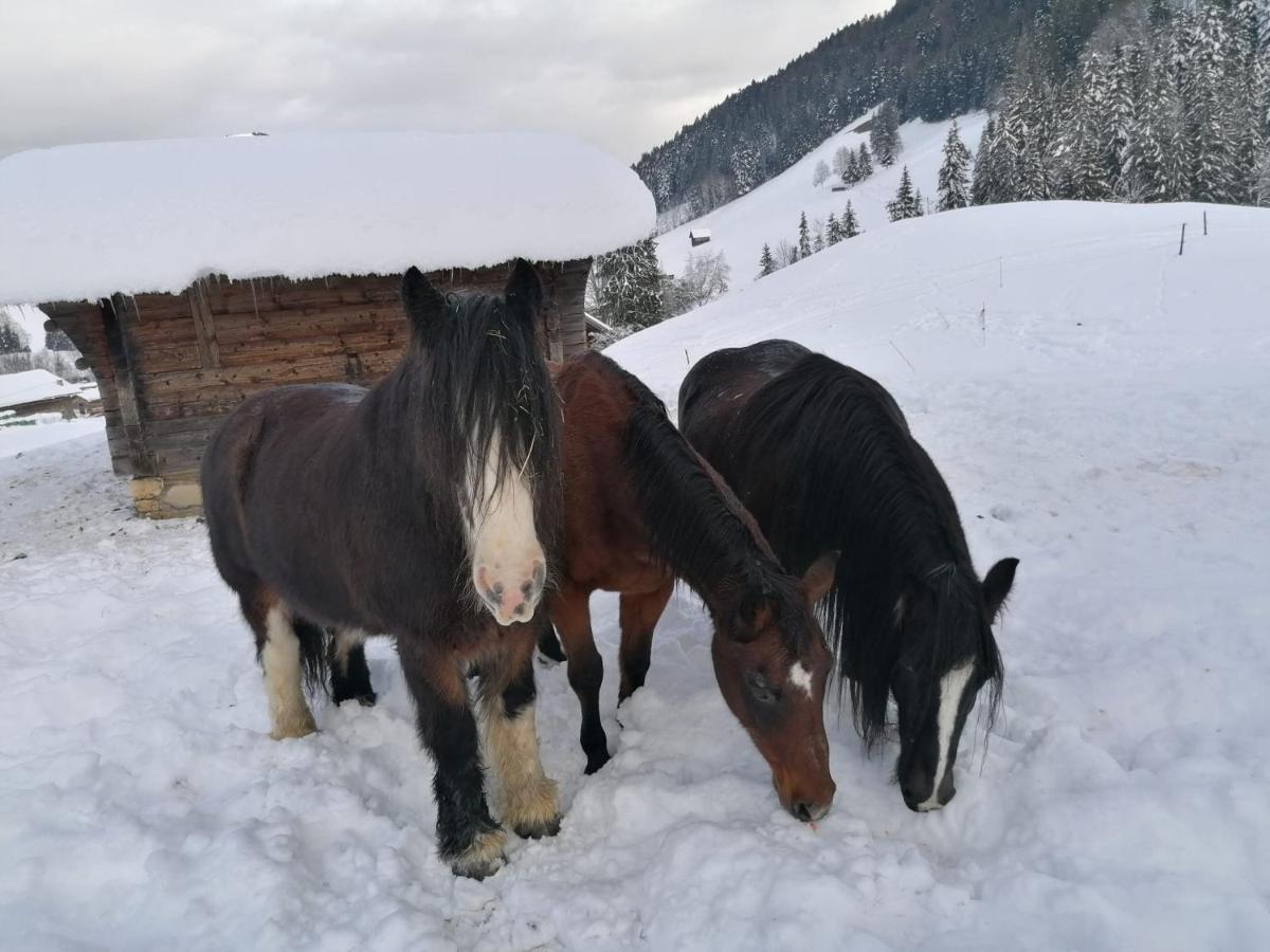 Bed and Breakfast Au Pre Des Chevaux Chateau-d'Oex Zewnętrze zdjęcie