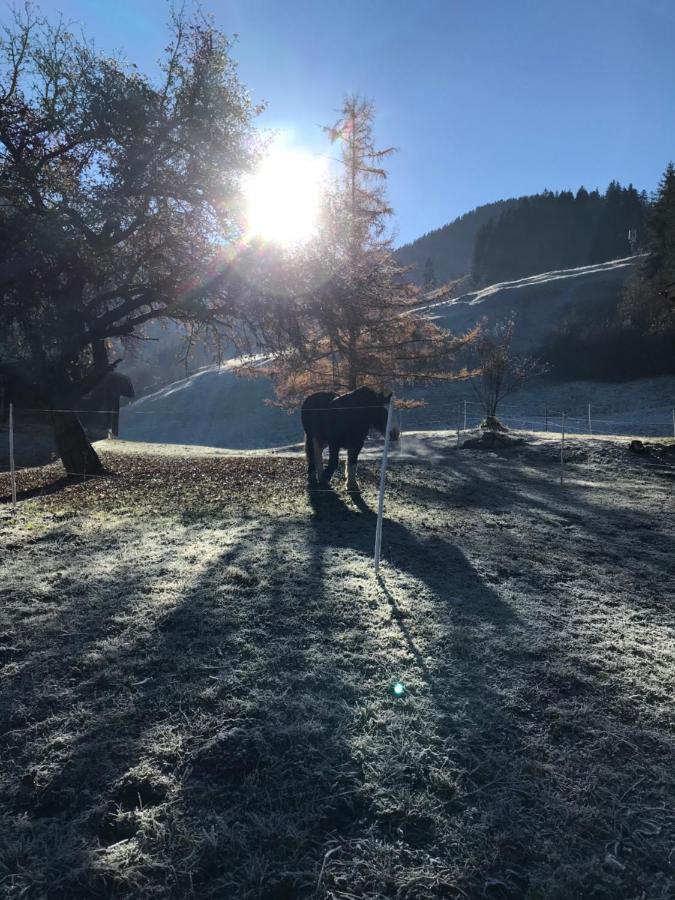 Bed and Breakfast Au Pre Des Chevaux Chateau-d'Oex Zewnętrze zdjęcie