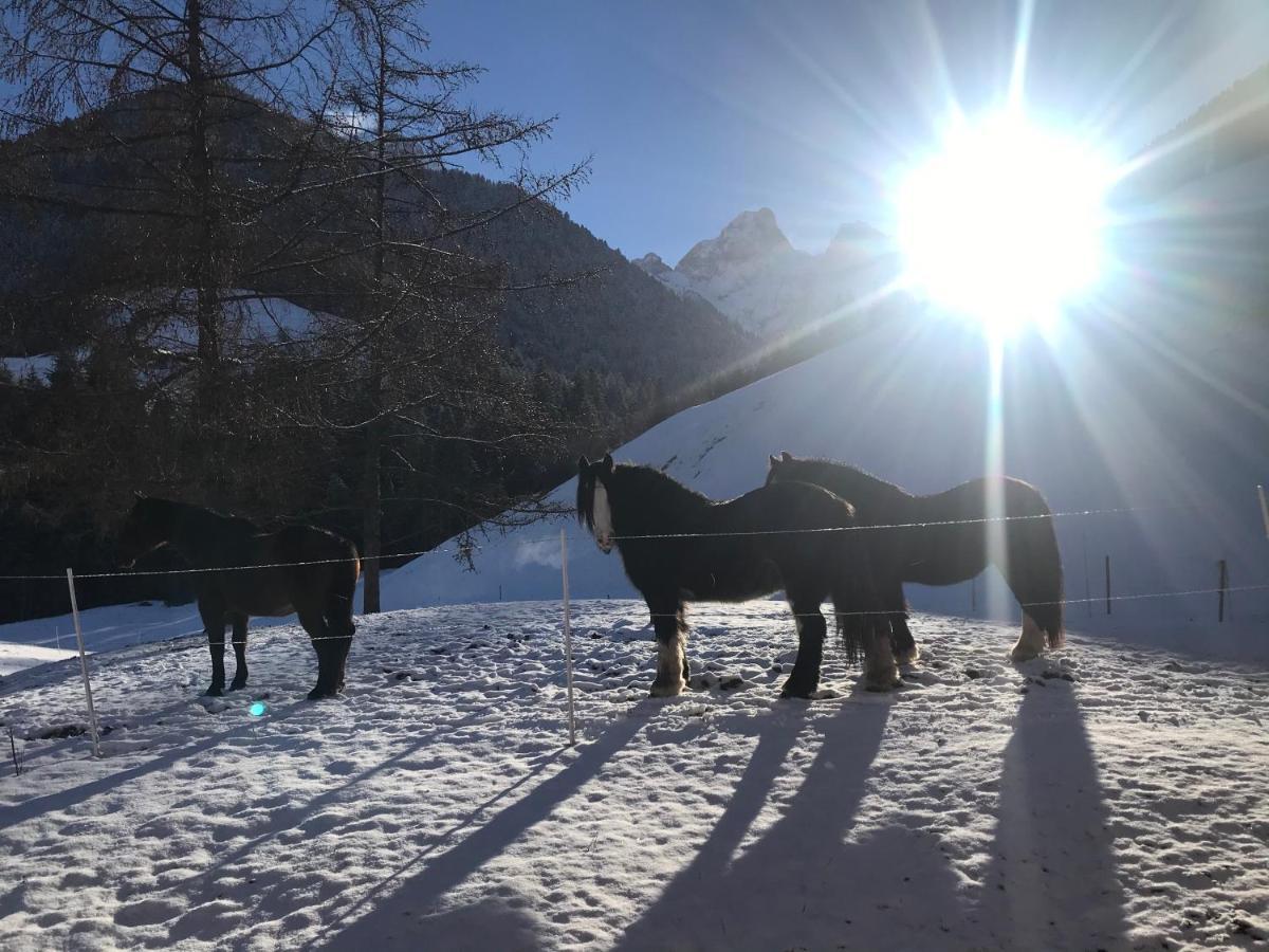 Bed and Breakfast Au Pre Des Chevaux Chateau-d'Oex Zewnętrze zdjęcie