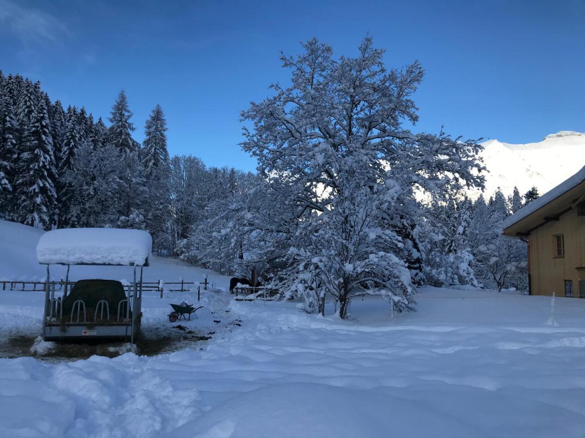 Bed and Breakfast Au Pre Des Chevaux Chateau-d'Oex Zewnętrze zdjęcie