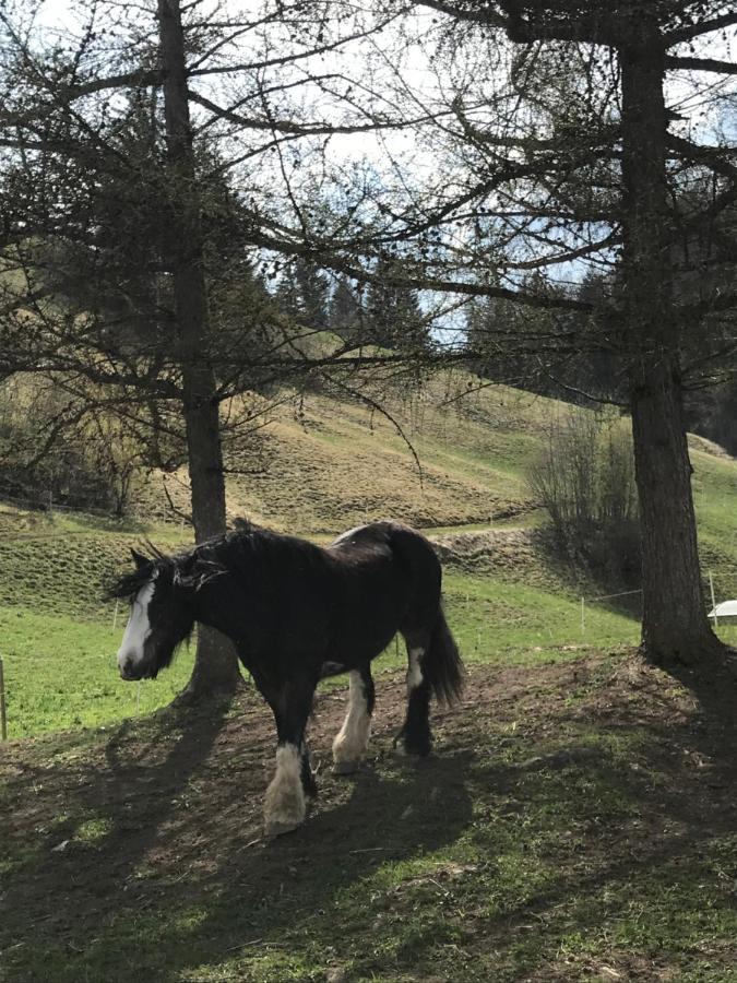 Bed and Breakfast Au Pre Des Chevaux Chateau-d'Oex Zewnętrze zdjęcie