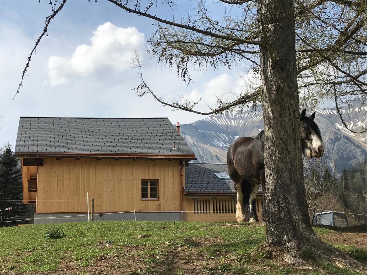 Bed and Breakfast Au Pre Des Chevaux Chateau-d'Oex Zewnętrze zdjęcie