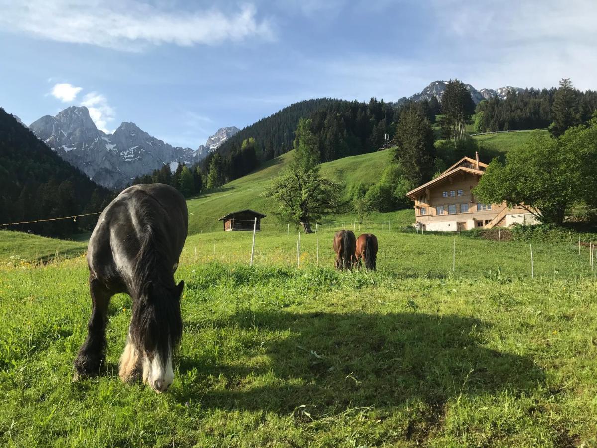 Bed and Breakfast Au Pre Des Chevaux Chateau-d'Oex Zewnętrze zdjęcie